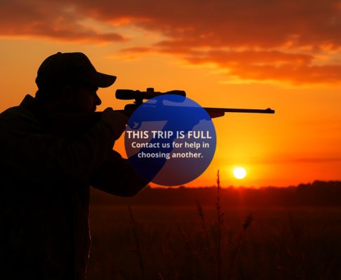 Fort Collins, CO - ISF Outdoors - Goose Hunt